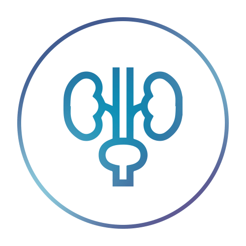Urologia